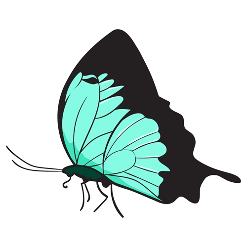 Butterfly Theme Aqua And Black Butterfly Transparent Sticker